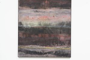 Matt Arbuckle