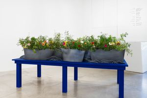 Xu Zhen®'s Art For Sale, Exhibitions & Biography | Ocula Artist