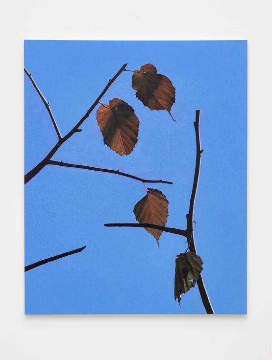 Leaf-TYO by Shi Jiayun contemporary artwork Painting