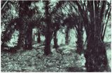 Dialogues interieurs a la peripherie XXIII by Julien Segard contemporary artwork works on paper