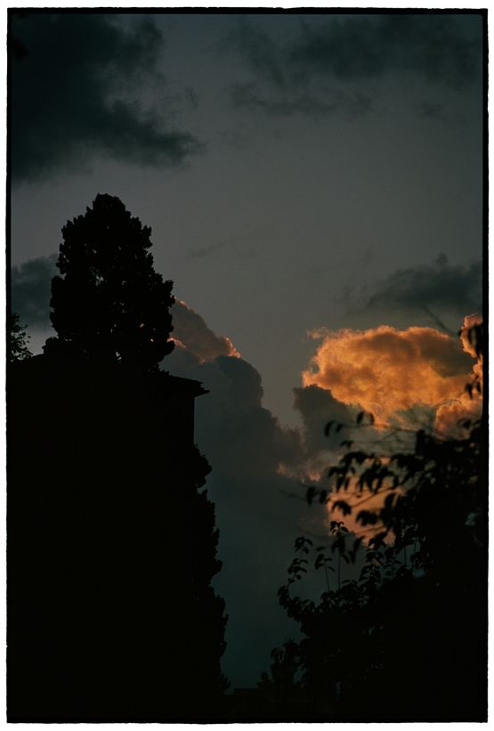 Untitled by Bill Henson contemporary artwork Photography