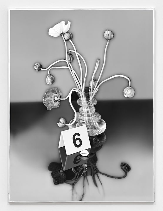 Poppy Freestyle I by Awol Erizku contemporary artwork Photography