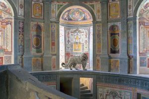 Karen Knorr