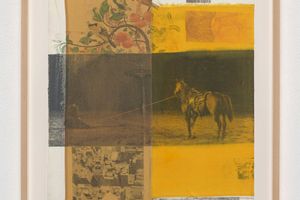 Robert Rauschenberg