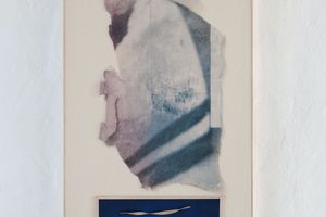 Bela Pablo Janssen