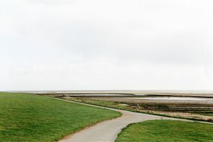 Grit Schwerdtfeger