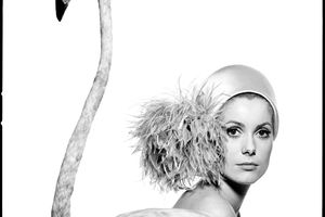 David Bailey