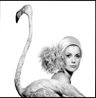 Catherine Deneuve Flamingo by David Bailey contemporary artwork Print