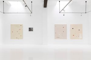 Mark Bohle