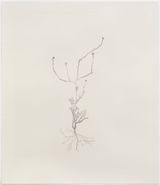 Shortpod Mustard 2 Out of Place by Michael Landy contemporary artwork print