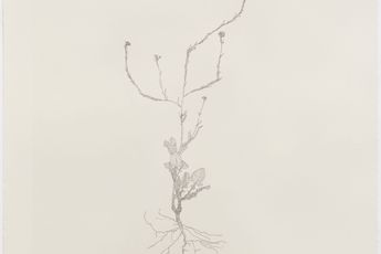 Michael Landy contemporary artist