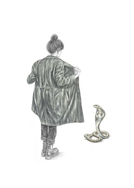 Cobra by Rachel Goodyear contemporary artwork Works on Paper