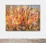 Sommerwind by Janaina Tschape contemporary artwork painting works on paper drawing