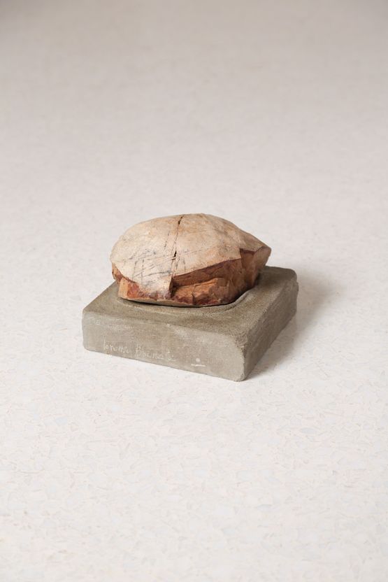 Calco III by Lorenzo Brinati contemporary artwork Sculpture