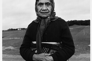 Marti Friedlander