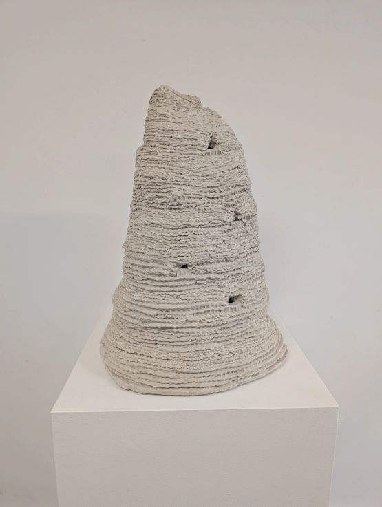 Untitled from the series Cupinzeiros by Lidia Lisboa contemporary artwork Sculpture