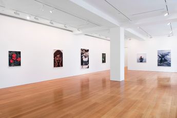 Contemporary art exhibition Roe Ethridge Sanctuary at Gagosian Hong Kong