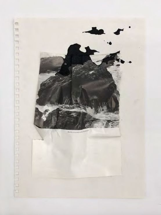 California Diary by Lucia Tallova contemporary artwork Works on Paper