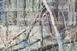 Imants Tillers