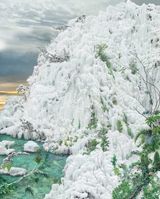 The Original Grass by Won Seoung Won contemporary artwork photography
