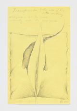 No Title by Faith Wilding contemporary artwork works on paper drawing