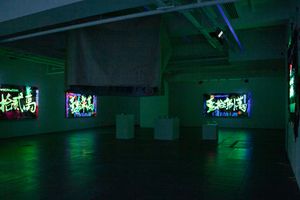 Double Fly Art Center