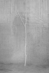 Nothing by Not Vital contemporary artwork mixed media