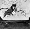 Selma Blair and Sphinx by Roger Ballen contemporary artwork Photography