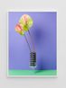 Laceleave Shadow by Annette Kelm contemporary artwork Photography