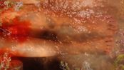 Dream of Water by Fatos Irwen contemporary artwork Moving Image
