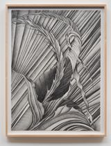 Fossil 6 by Faith Wilding contemporary artwork drawing works on paper