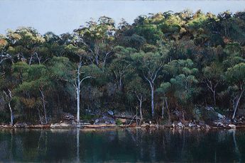 Contemporary art exhibition A.J. Taylor The Rainforest and the River at Martin Browne Contemporary Sydney Australia