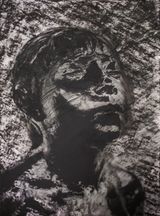 Untitled by Sofia Borges contemporary artwork works on paper photography