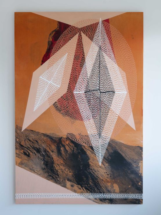 Disturbing Arrangement by Bani Abidi contemporary artwork Works on Paper