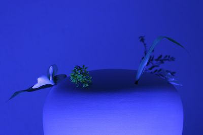 Taoyuan Museum of Fine Arts Announces Grand Prize Winner