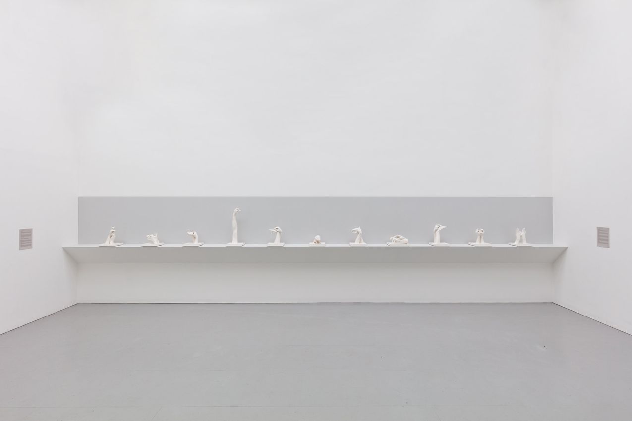 Marcus Coates