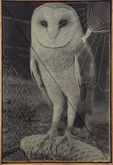 Untitled by David Noonan contemporary artwork mixed media print