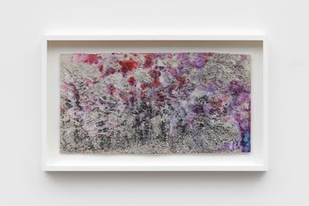 BRACHA contemporary artist