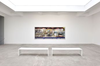 Contemporary art exhibition Thomas Struth Nature  Politics at Galerie Marian Goodman Paris France