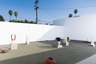 Venice Beach to Seoul Esther Kim Varet on the Expansion of Various Small Fires