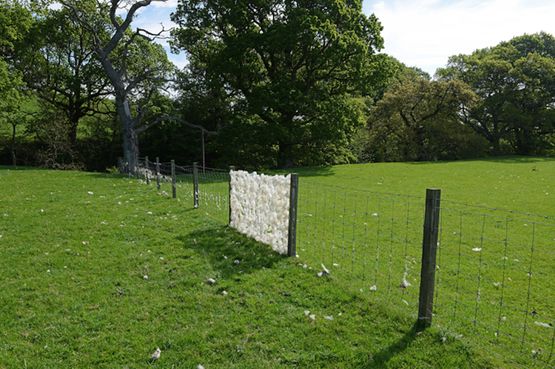 Sheep fence  Dumfriesshire Scotland  25 May 2018 by Andy Goldsworthy contemporary artwork Photography
