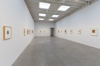 Contemporary art exhibition Mark Grotjahn Skulls 20162023 at Karma 188 E 2nd Street United States