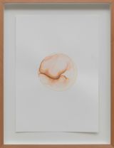 seed v by Yasam Sasmazer contemporary artwork painting works on paper
