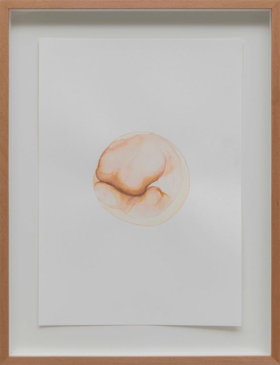 seed v by Yasam Sasmazer contemporary artwork Painting