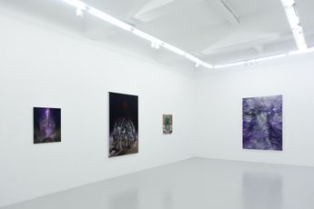 Contemporary art exhibition Ruben Pang Amphibian at Ames Yavuz Singapore