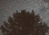 Crystalloid Evening Star by Chen Xiaoyi contemporary artwork print