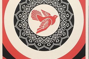 Shepard Fairey