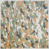 Camouflage 1 by Wu Yiming contemporary artwork painting