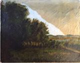 Untitled 11 Muthoscapes by Asl Cavusoglu contemporary artwork painting