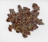 Liquen Aconcagua Aconcagua Lichen by Leo Battistelli contemporary artwork sculpture